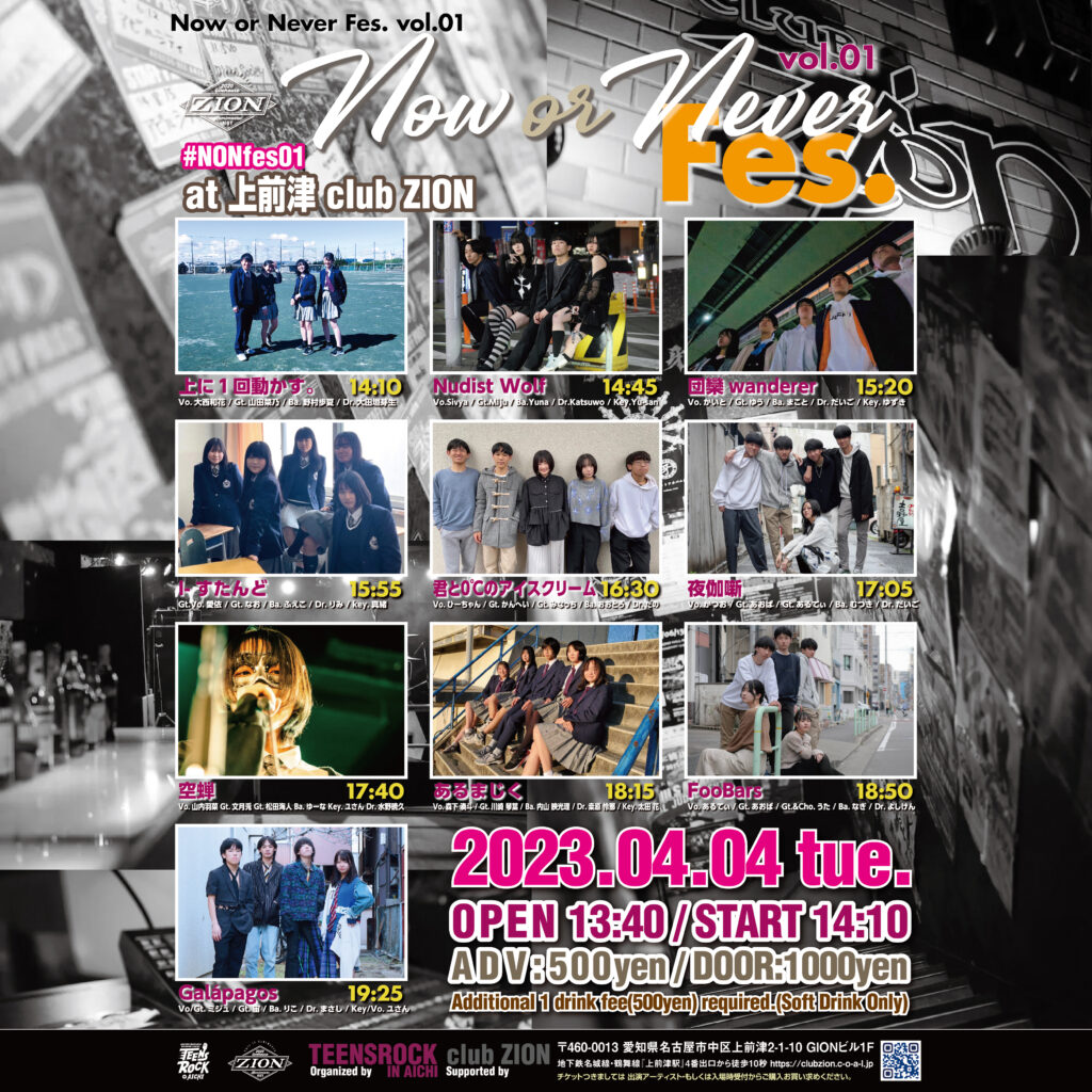 Now or Never FES. vol.02 出演者募集のご案内 | TEENS ROCK IN AICHI